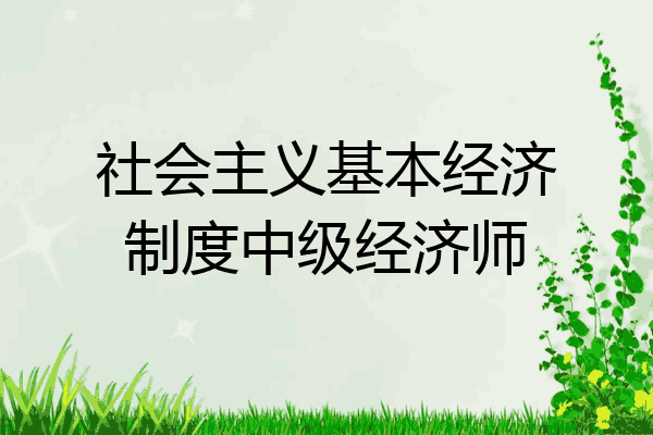 社会主义基本经济制度中级经济师