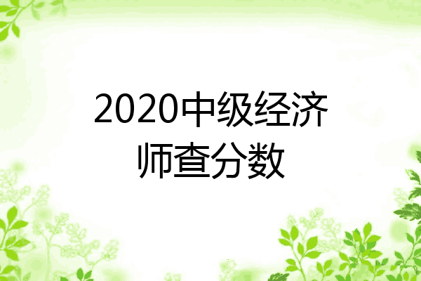 2020中级经济师查分数