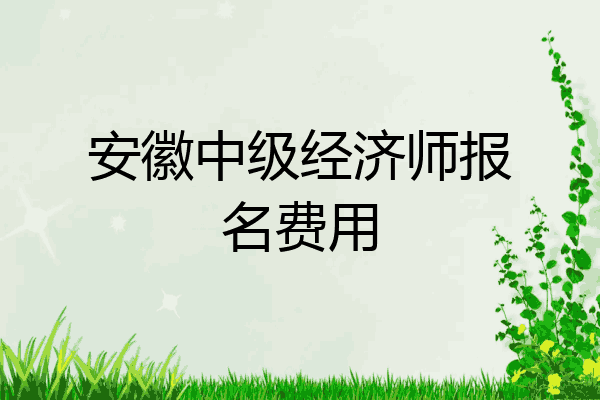 安徽中级经济师报名费用