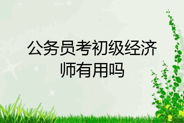 公务员考初级经济师有用吗