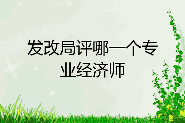 发改局评哪一个专业经济师