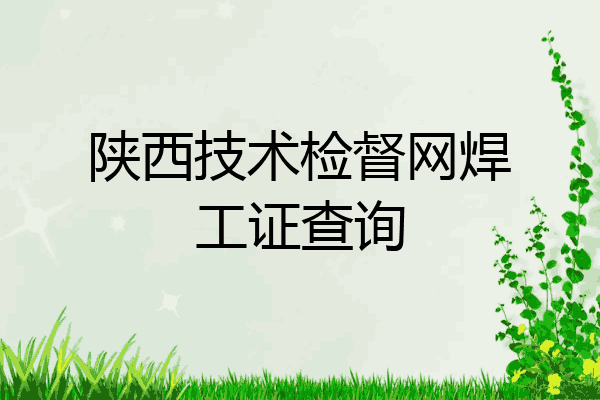 陕西技术检督网焊工证查询