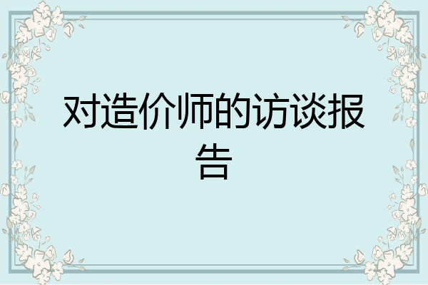 对造价师的访谈报告