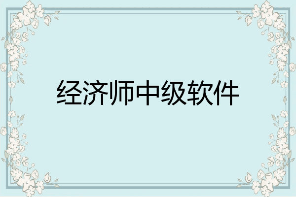 经济师中级软件