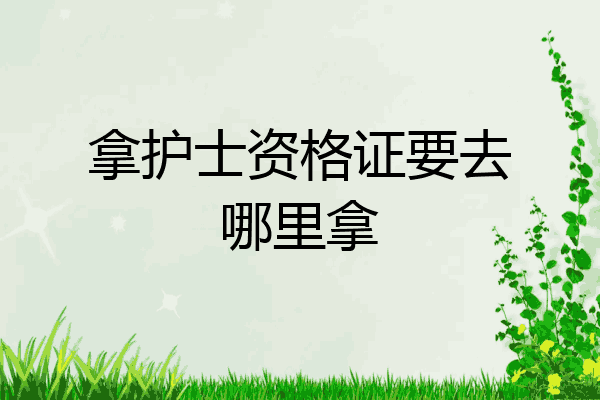 拿护士资格证要去哪里拿