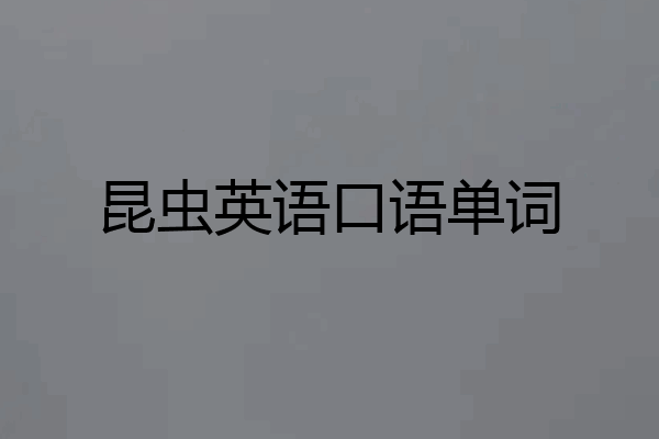 昆虫英语口语单词