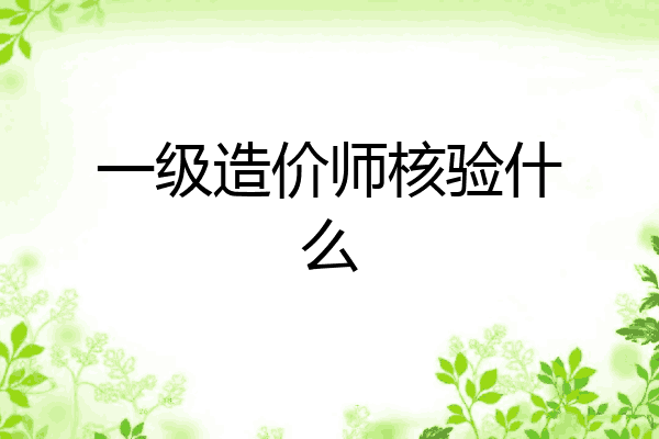 一级造价师核验什么