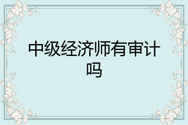 中级经济师有审计吗