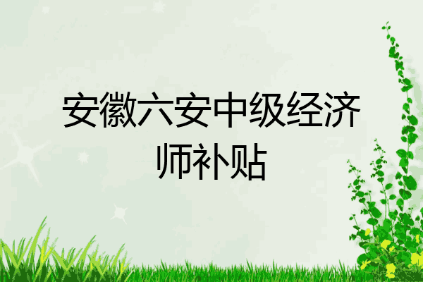 安徽六安中级经济师补贴
