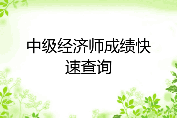 中级经济师成绩快速查询