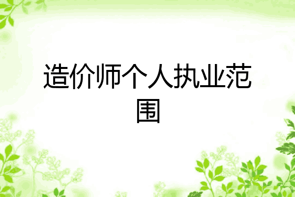 造价师个人执业范围