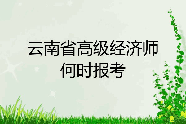 云南省高级经济师何时报考