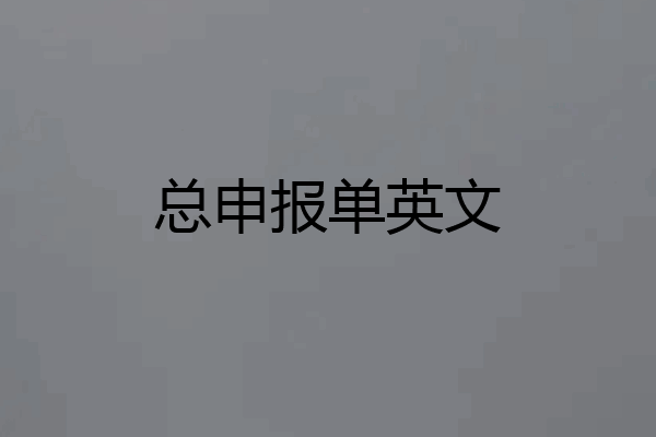 总申报单英文