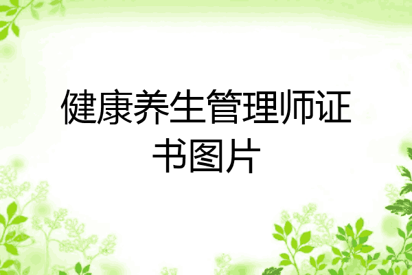 健康养生管理师证书图片