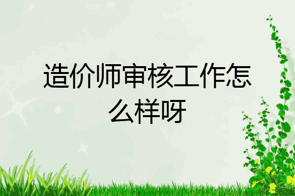 造价师审核工作怎么样呀