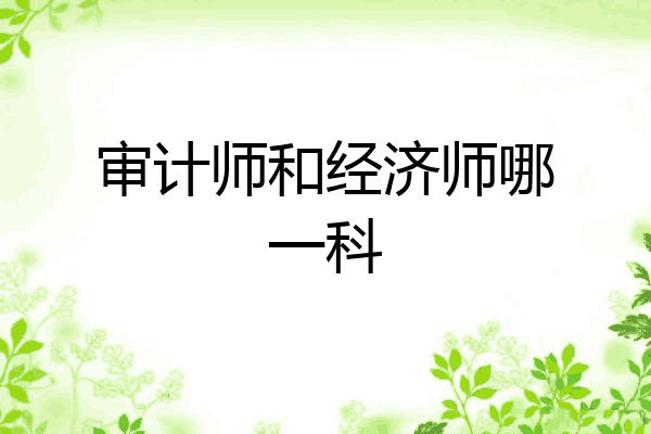 审计师和经济师哪一科