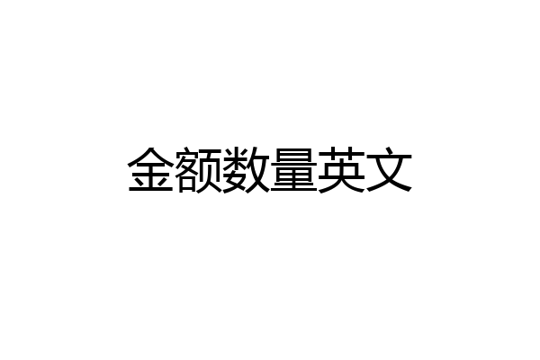 金额数量英文