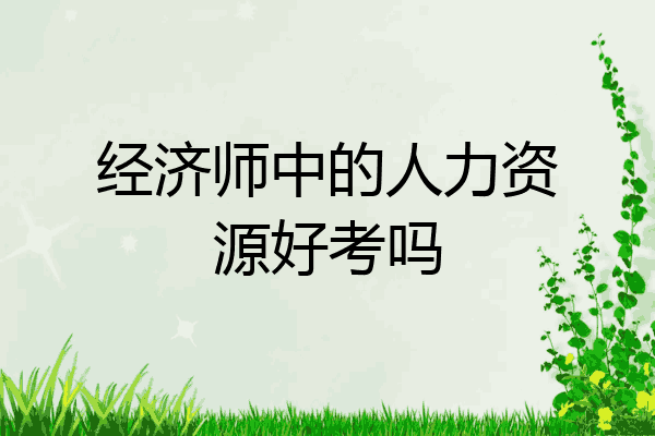 经济师中的人力资源好考吗