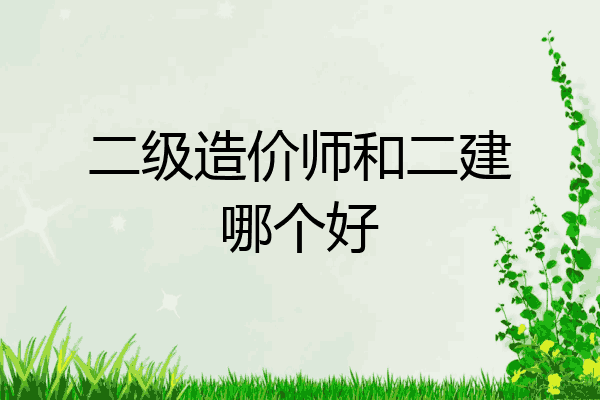 二级造价师和二建哪个好