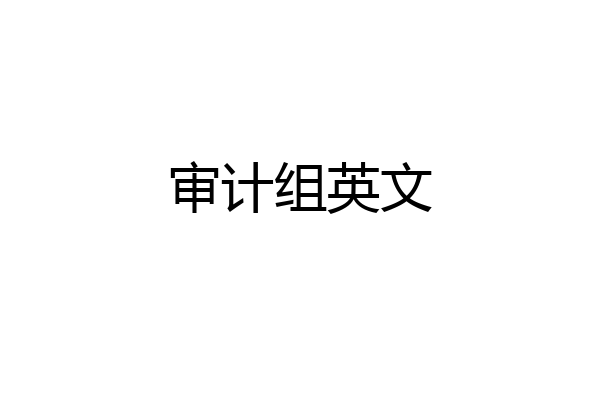审计组英文