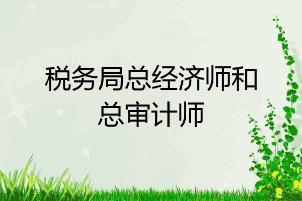 税务局总经济师和总审计师