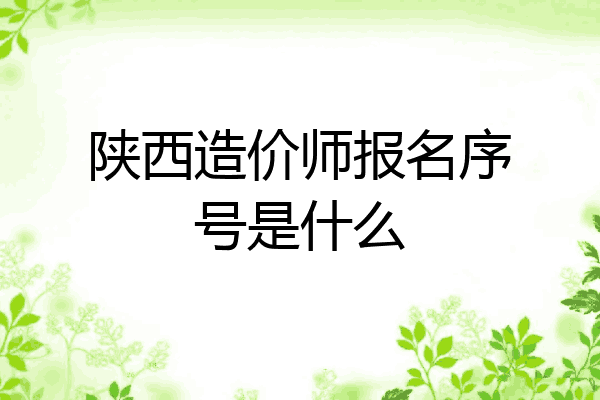 陕西造价师报名序号是什么