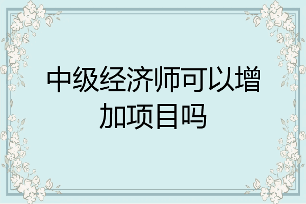 中级经济师可以增加项目吗