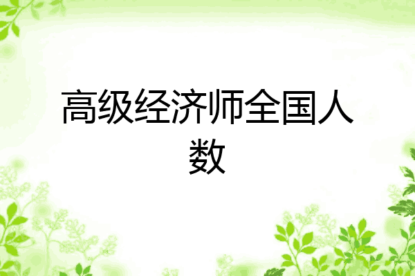 高级经济师全国人数