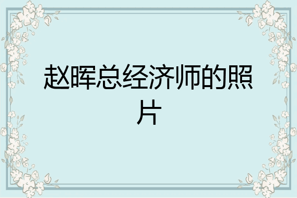 赵晖总经济师的照片