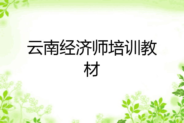 云南经济师培训教材
