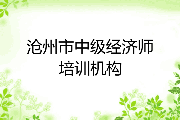 沧州市中级经济师培训机构