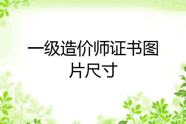 一级造价师证书图片尺寸