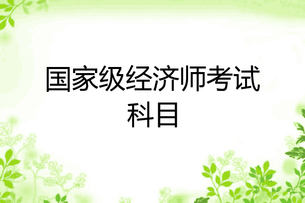 国家级经济师考试科目