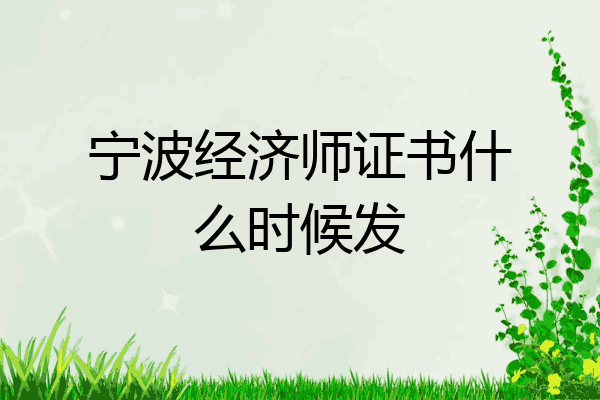 宁波经济师证书什么时候发