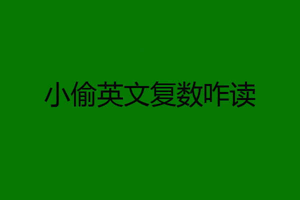 小偷英文复数咋读