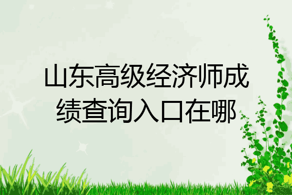 山东高级经济师成绩查询入口在哪