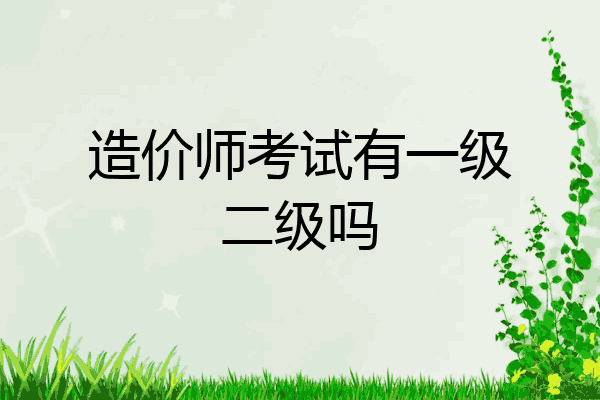 造价师考试有一级二级吗