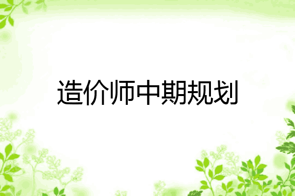 造价师中期规划