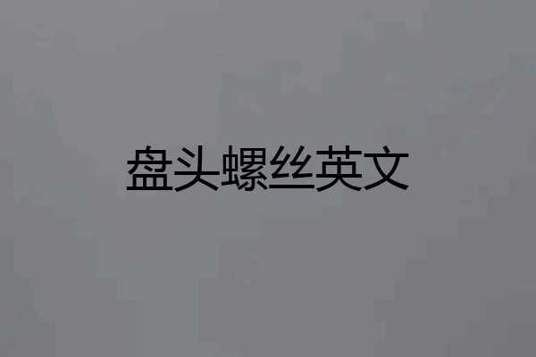 盘头螺丝英文