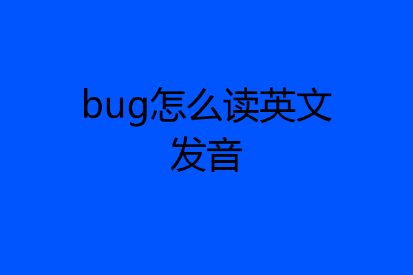 bug怎么读英文发音