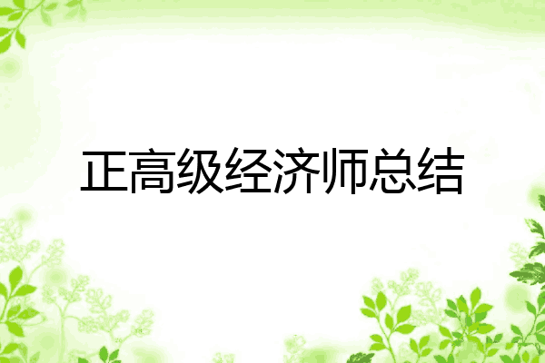 正高级经济师总结