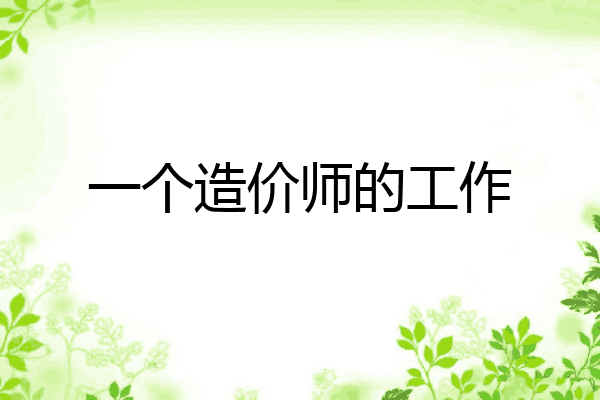 一个造价师的工作