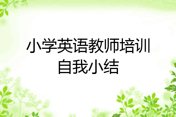 小学英语教师培训自我小结