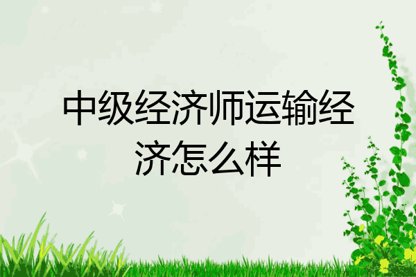 中级经济师运输经济怎么样