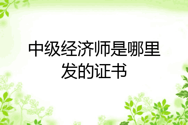 中级经济师是哪里发的证书