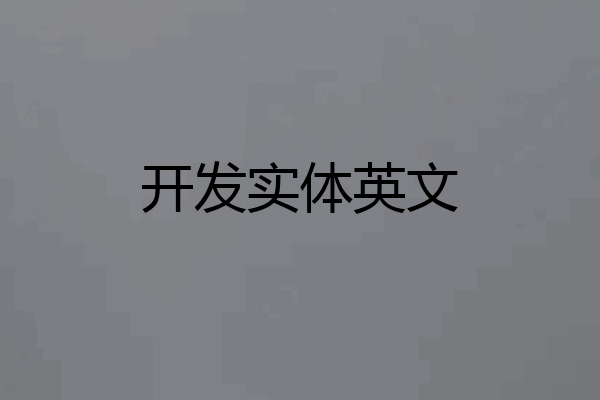 开发实体英文