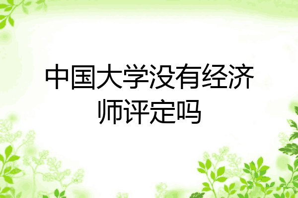 中国大学没有经济师评定吗
