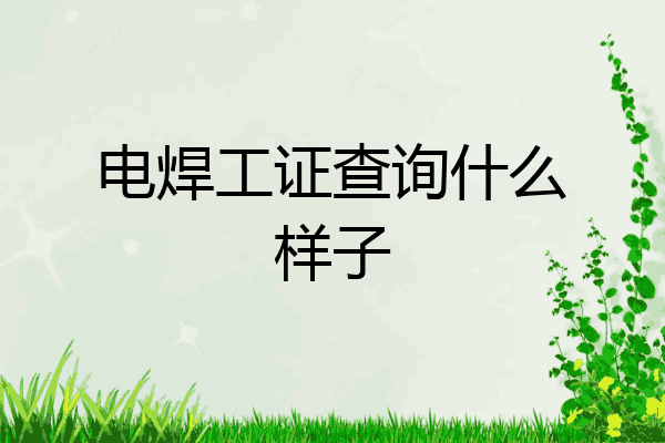 电焊工证查询什么样子