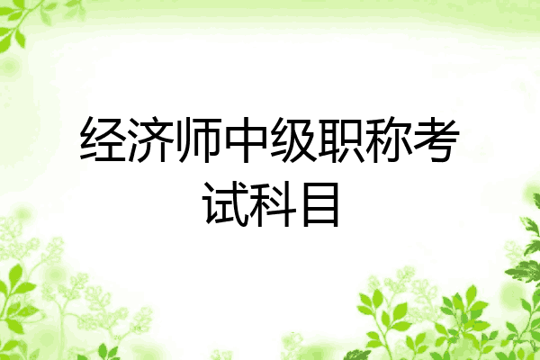 经济师中级职称考试科目
