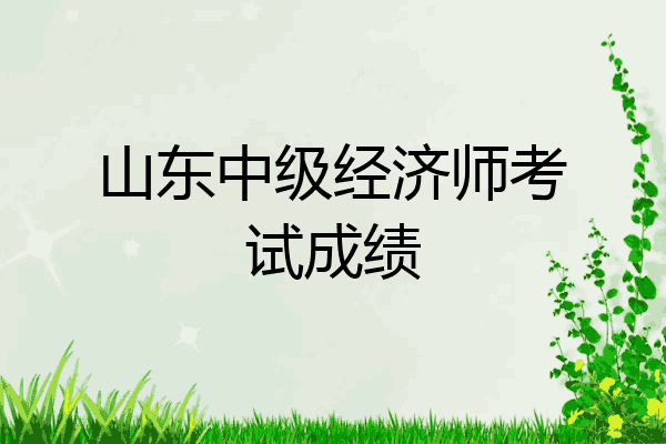 山东中级经济师考试成绩